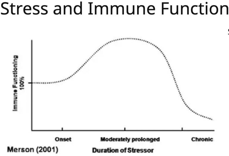chiropratica e sistema immunitario